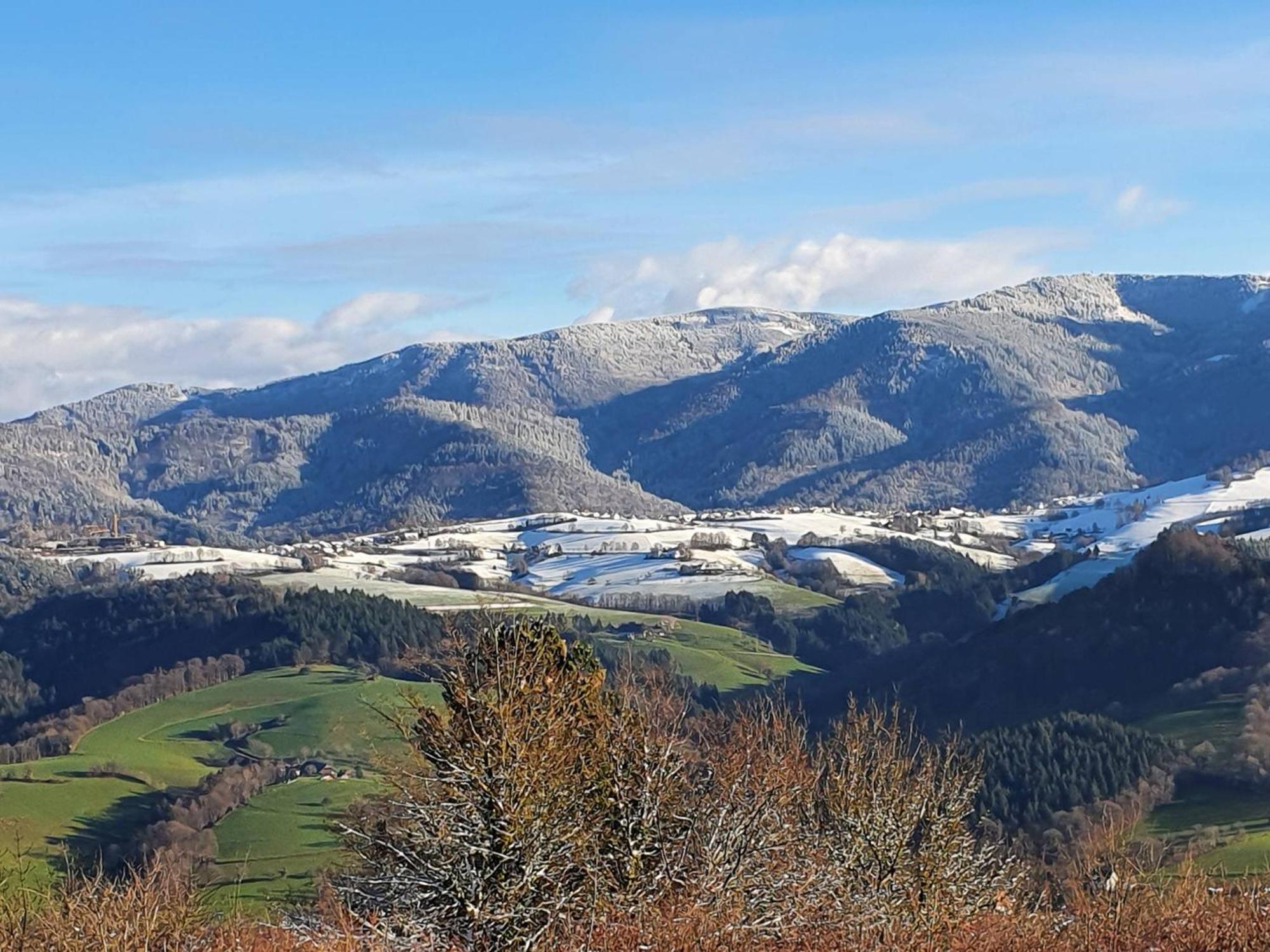 Ferienwohnung Birkental Ebringen Εξωτερικό φωτογραφία